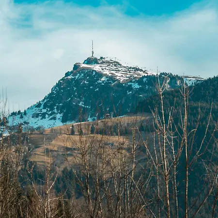 シャレー Ninni *